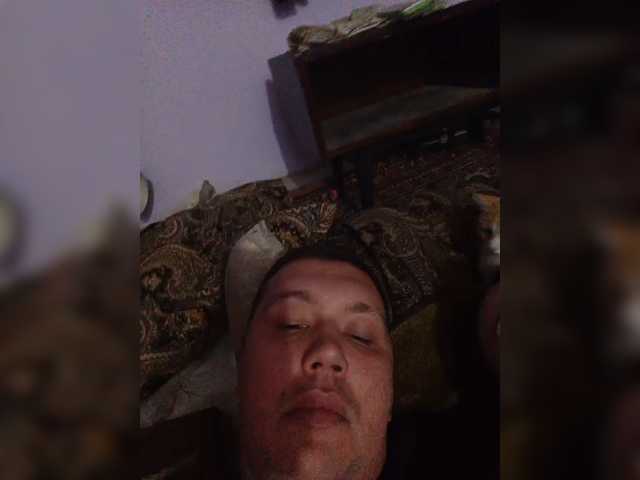 Plaksheri