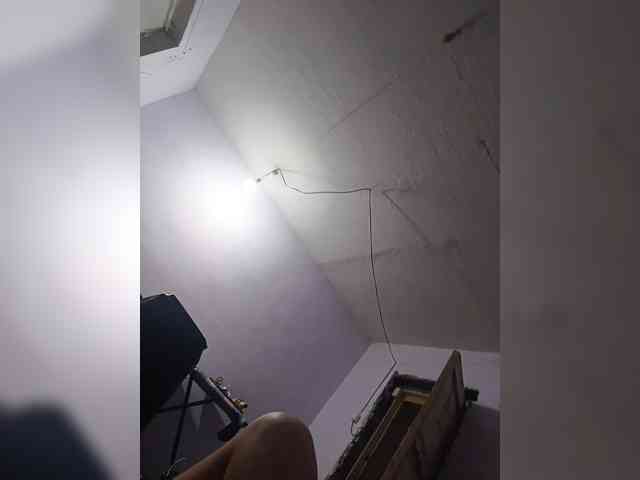 Plaksheri webcam