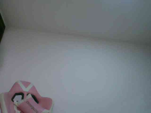 AlinaSvetlana webcam
