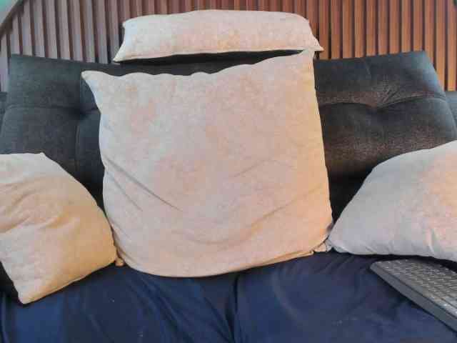 Shanel-queen's cam show statistics and live stream