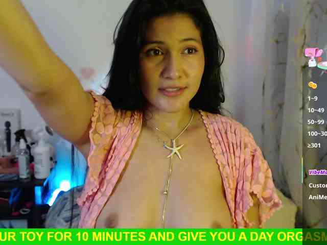Miss-Engineer webcam
