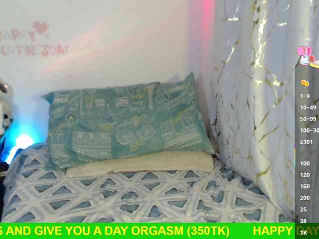 Miss-Engineer webcam