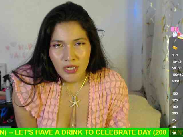 Miss-Engineer webcam