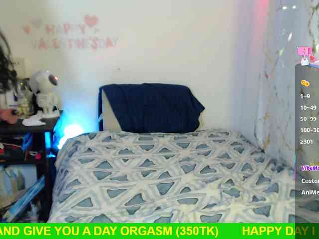Miss-Engineer webcam