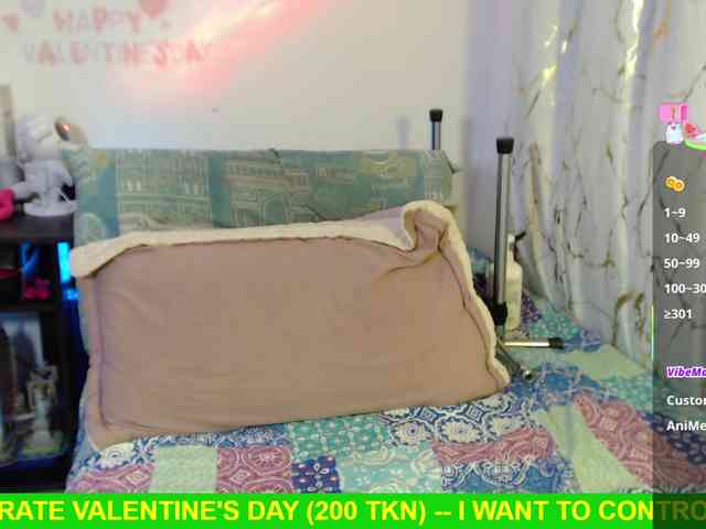 Miss-Engineer webcam