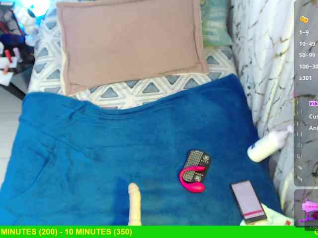 Miss-Engineer webcam