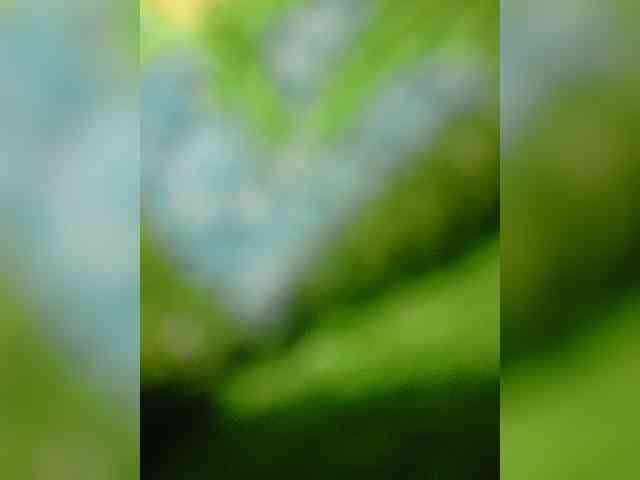 yRai-ja webcam