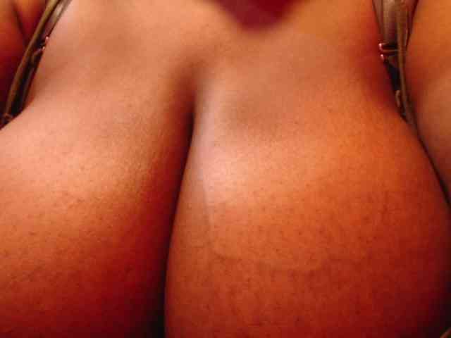 Modelo: Samara28