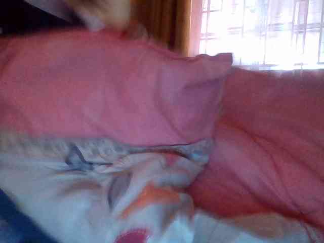 quqi Live Webcam on BongaCams