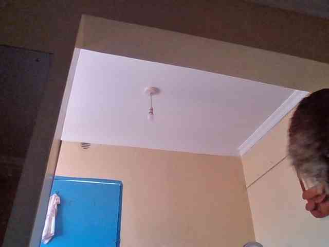 quqi webcam