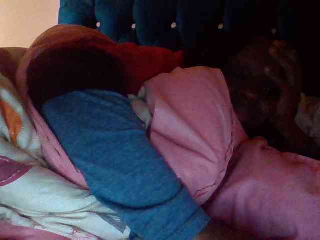 quqi webcam