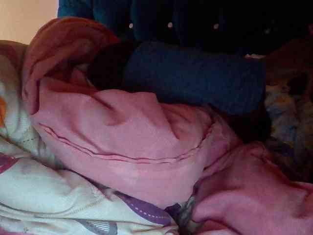 quqi webcam
