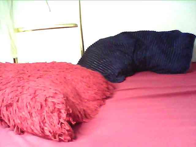 alora-skylar webcam