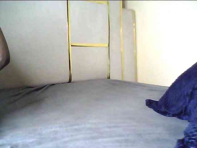 alora-skylar webcam