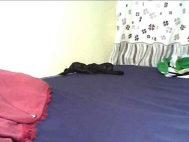 alora-skylar webcam