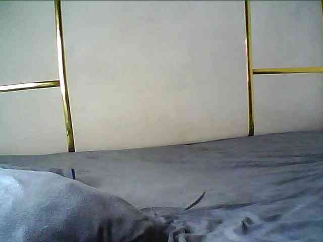 alora-skylar webcam