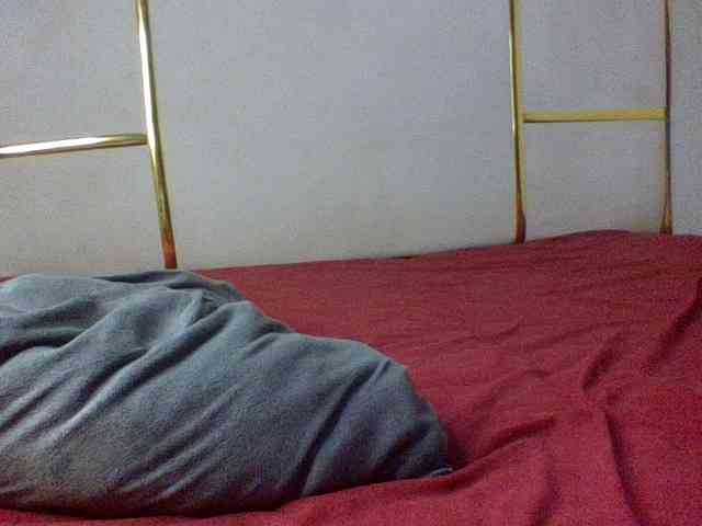 alora-skylar webcam