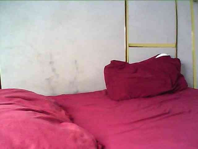 alora-skylar webcam