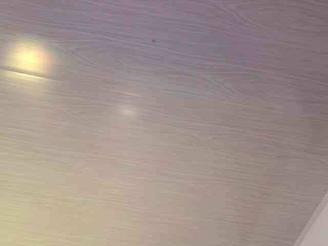 Anastasiaevans webcam