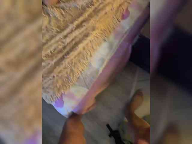 ParraTigroff webcam