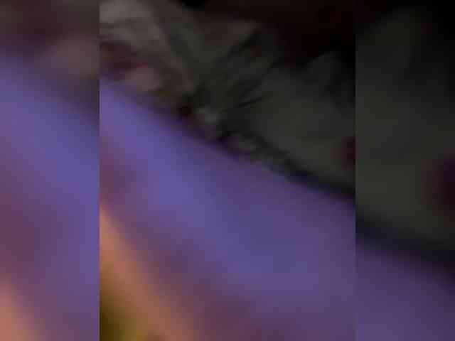 ParraTigroff webcam