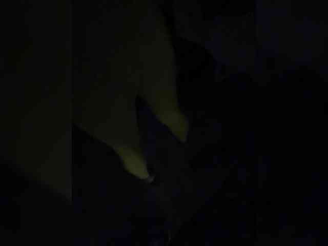 velaskesssz Live Webcam on BongaCams