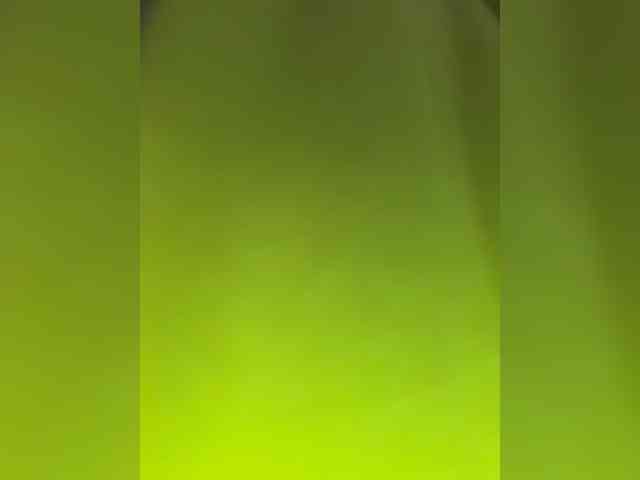 ParraTigroff webcam