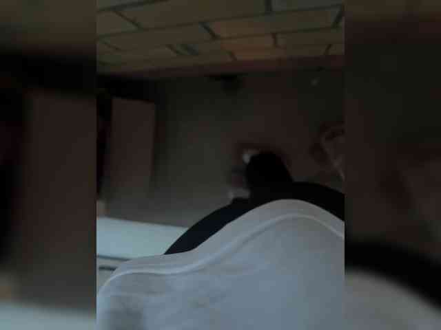 ParraTigrroff webcam