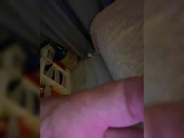 ParraTigroff webcam