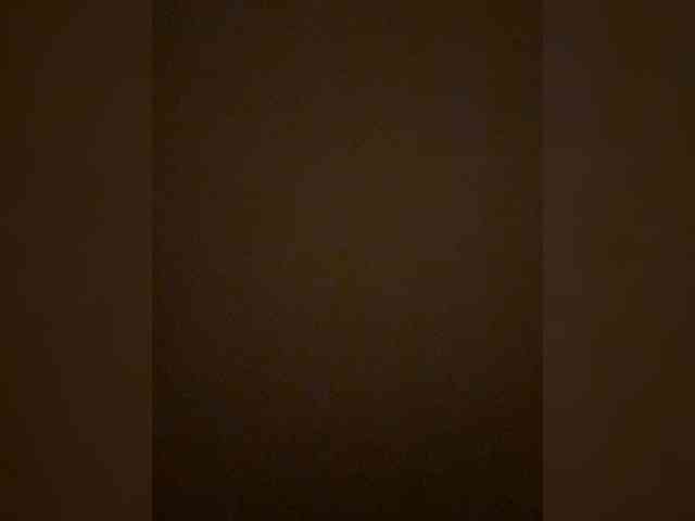 ParraTigroff webcam