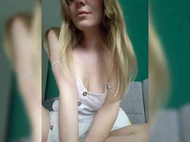Meowka webcam