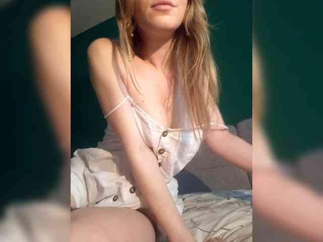 Meowka webcam