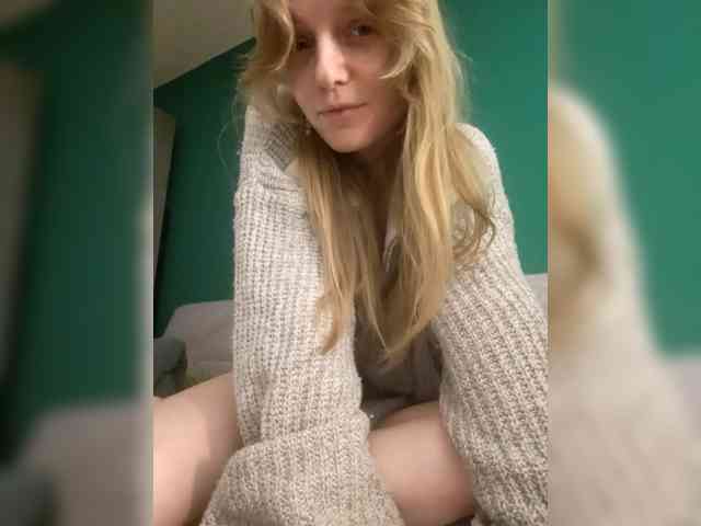 Meowka webcam