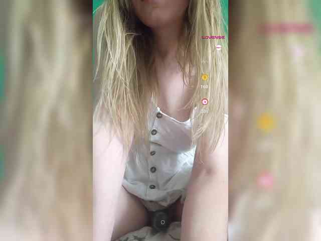 Meowka webcam