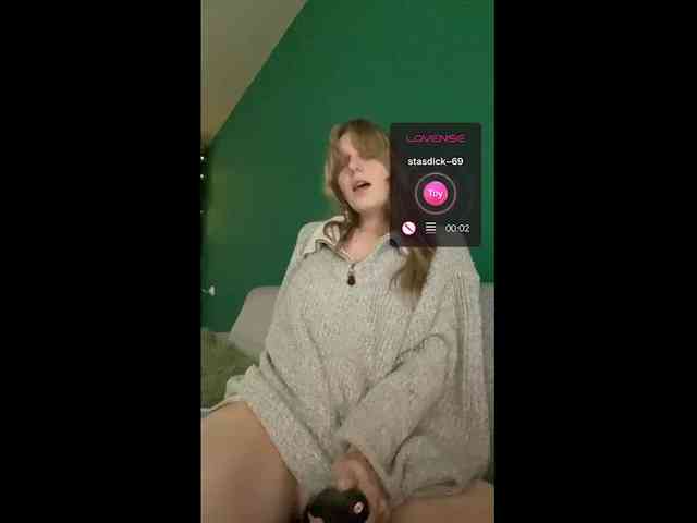 Meowka webcam
