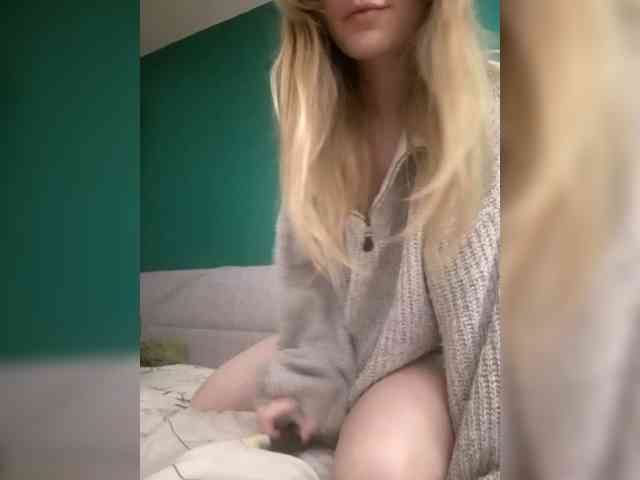Meowka webcam