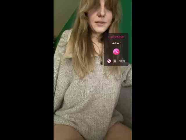 Meowka webcam