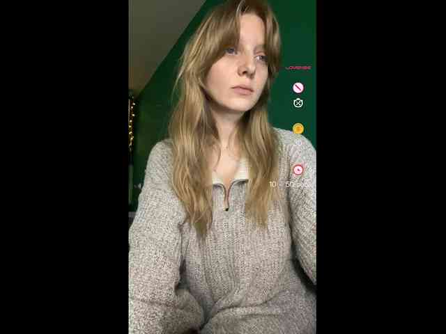 Meowka webcam