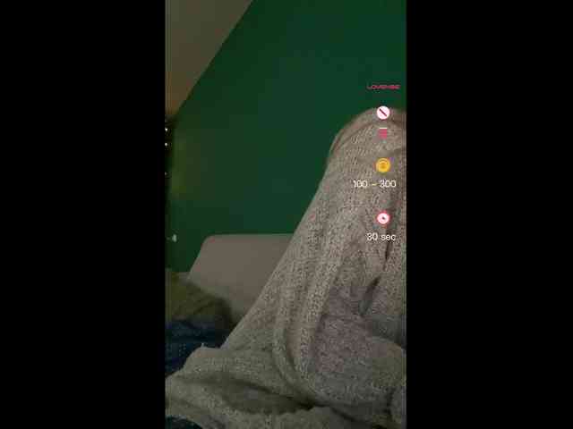 Meowka webcam