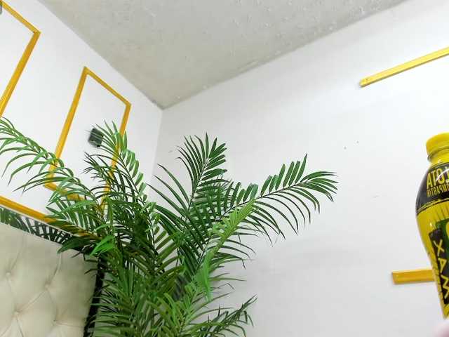 Miranda-vega live cam on BongaCams