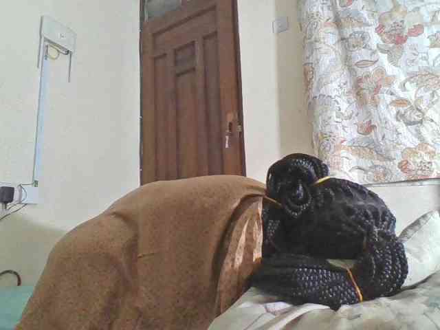 Bigdarkass webcam