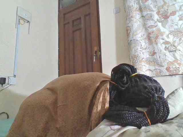 Bigdarkass webcam