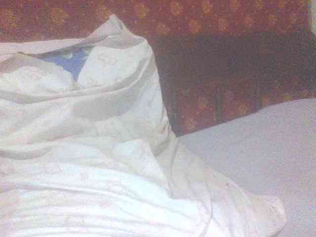 PrettyG webcam