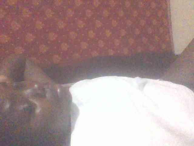PrettyG webcam