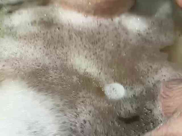 Sweet775 webcam