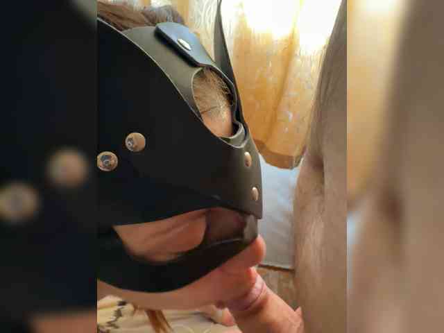 Paradice webcam