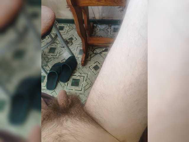 Zanguardik live cam preview