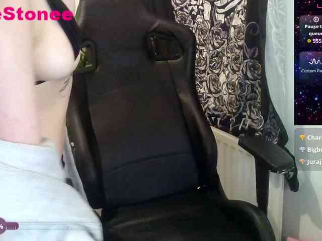 Eviestone webcam