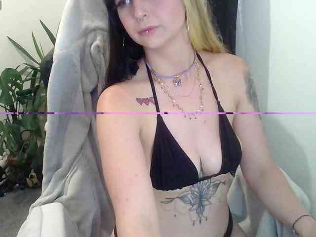 Eviestone webcam