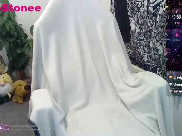 Eviestone webcam